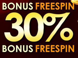 Bonus Freespin 30%