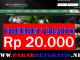 Pokerm99 Freebet Gratis Rp 20.000 Tanpa Deposit